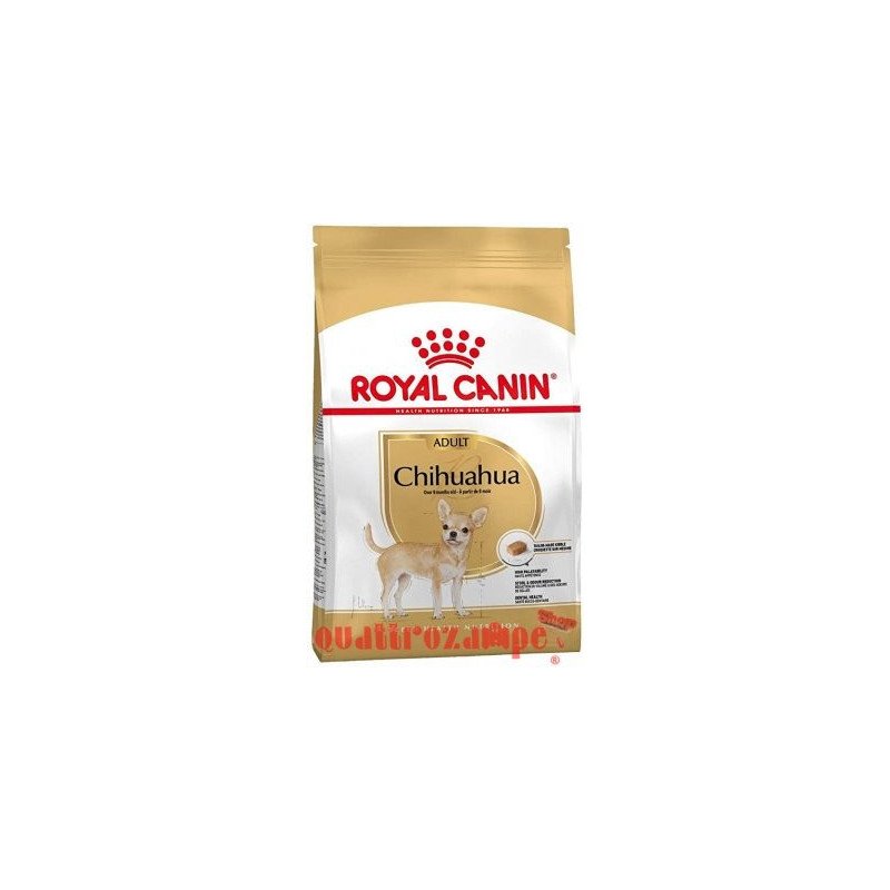 Royal Canin Chihuahua Adult Crocchette 500g