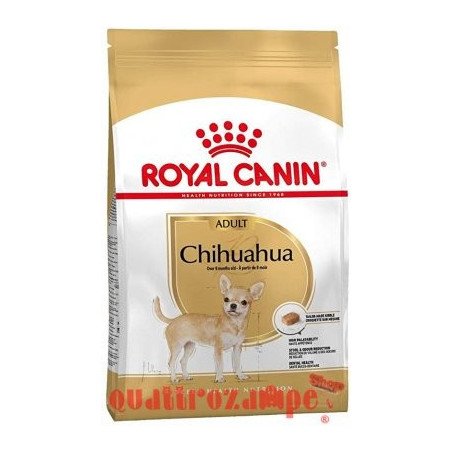 Royal Canin Chihuahua Adult Crocchette 500g