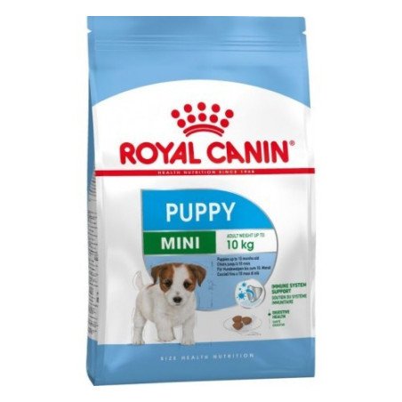 Royal Canin Cane Mini Puppy Crocchette per Cucciolini 800g