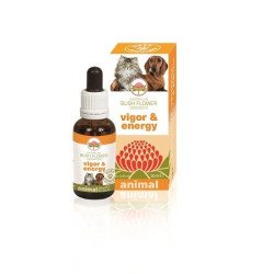 Australian Bush Flower Essenza per Animali Vigor & Energy 30ml