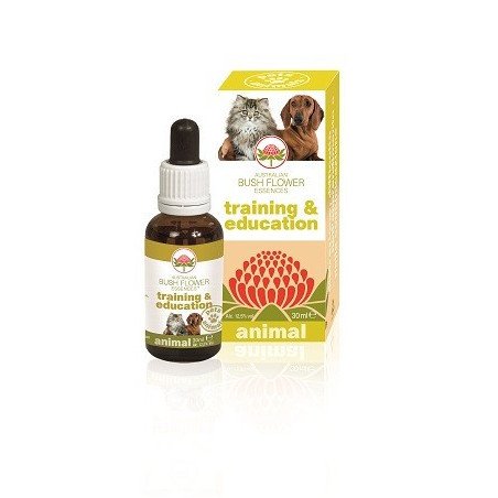 Australian Bush Flower Esseza per Animali Training Education 30ml