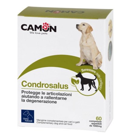 Camon  Condrosalus 60 compresse