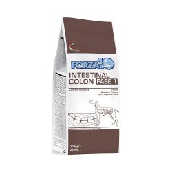 Forza10 Active Intestinal Colon Fase 1 per Cane 10 kg